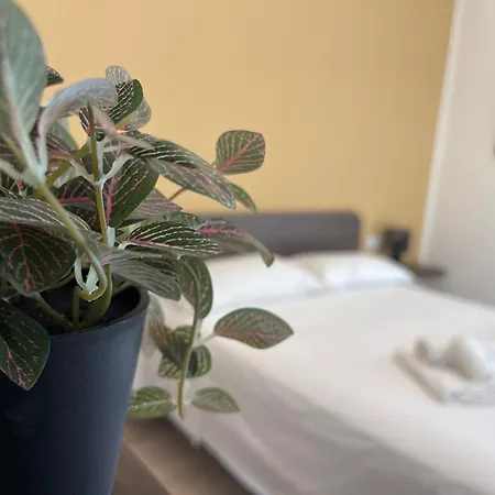 Apartament In Centro *
